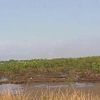 C:\Documents and Settings\boye.johnson\My Documents\My Pictures\SOE photos\mangrovesof-mesurado-wetlands-lr.JPG