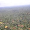 arialview-sapo-national-park-liberia.JPG