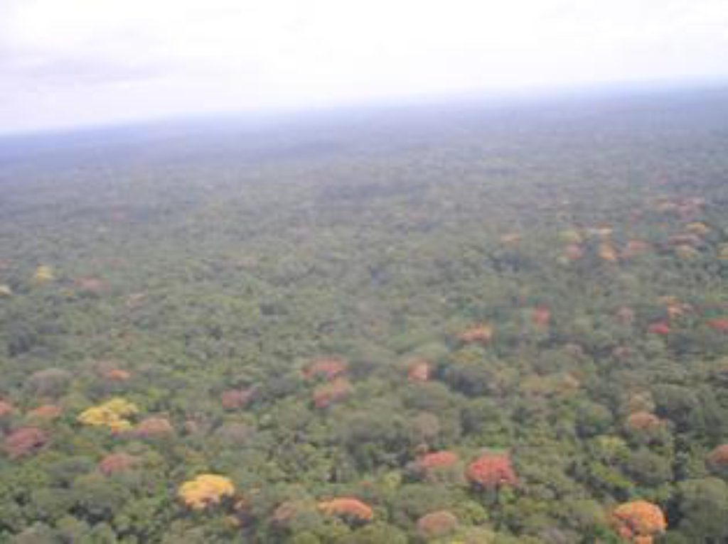 arialview-sapo-national-park-liberia.JPG