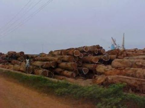 logs-liberia.JPG