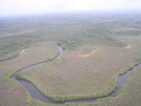 wetland-biodiversity.JPG