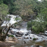 Liberia Celebrates World Wetlands Day