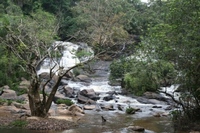 Liberia Celebrates World Wetlands Day